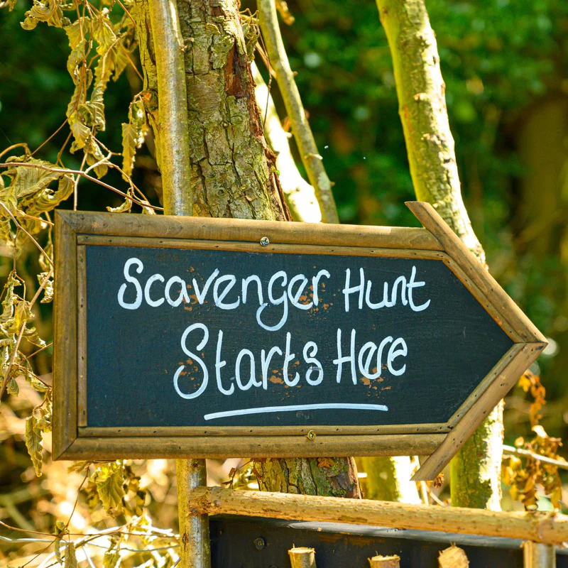 Image Game: “Treasure Hunt in the Yard”