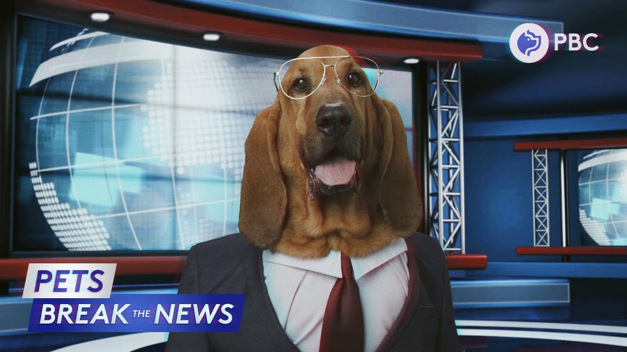 Image Latest News from the World of Pets: Innovations, Laws, and Trends of 2025